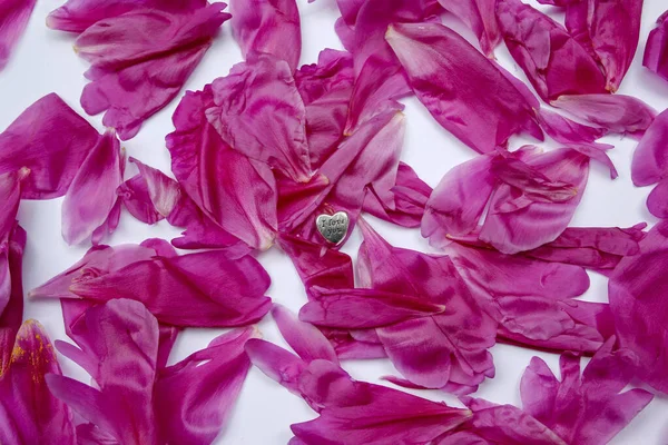 Srebrne Serce Tekstem Kocham Cię Różowych Płatkach — Zdjęcie stockowe