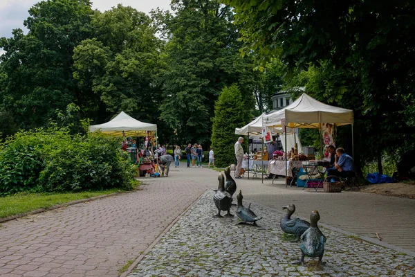 Naleczow Poland July 2020 Duck Monument Stalls Regional Products Spa — 图库照片