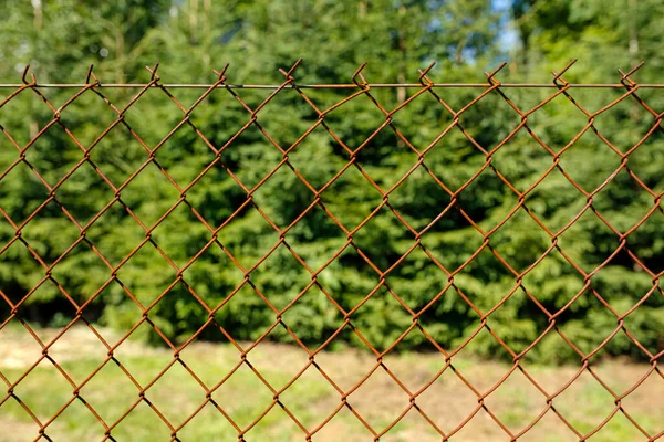 花园里生锈的篱笆网 — 图库照片