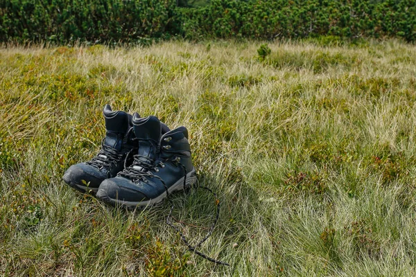 hiker boots on the mountain meadow