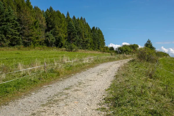 Dağlardaki Dolambaçlı Dağ Yolu — Stok fotoğraf