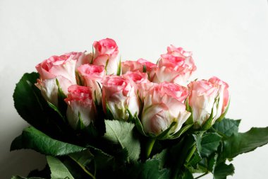 Beyaz kağıt desenli pembe güller.