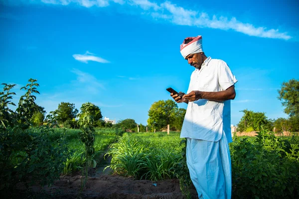 Agricultor Indiano Maduro Segurando Cartão Débito Crédito Mestre Com Telefone — Fotografia de Stock