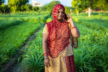 Geleneksel köy kadınları cep telefonuyla konuşuyor yeşil tarla arazisinde duruyor, mutlu Hintli kadınlar telefonla konuşuyor..