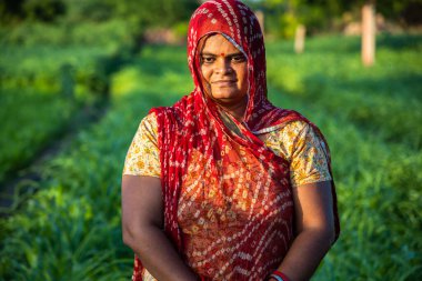 Yeşil tarlada dikilen sari giyen geleneksel Hintli kadın portresi, tarım arazisinde güpegündüz çalışan köy kadını..