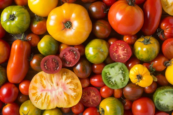 Bunte Tomaten Von Oben Geschossen — Stockfoto