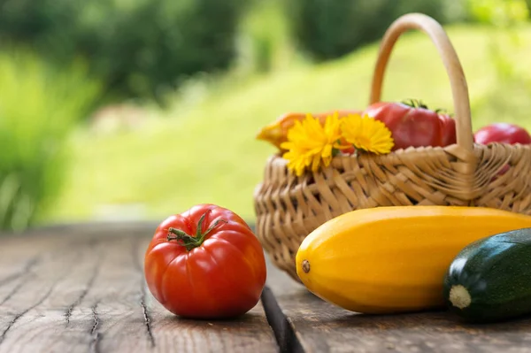 Plantaardige Oogst Rustieke Houten Tafel Kopieerruimte — Stockfoto