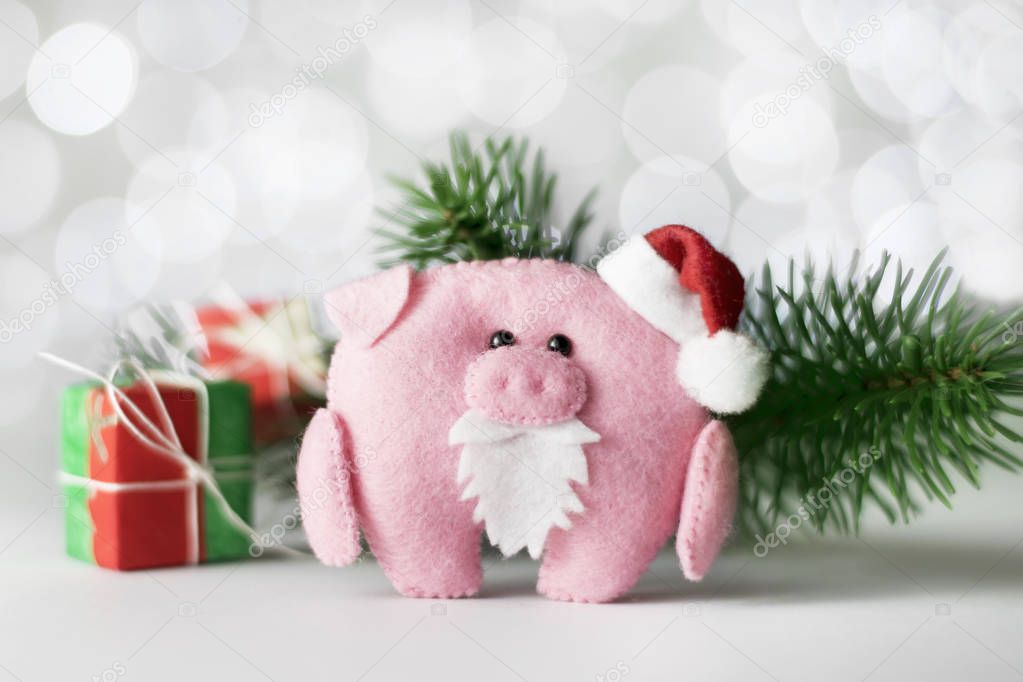 Christmas concept. Symbol 2019 pig