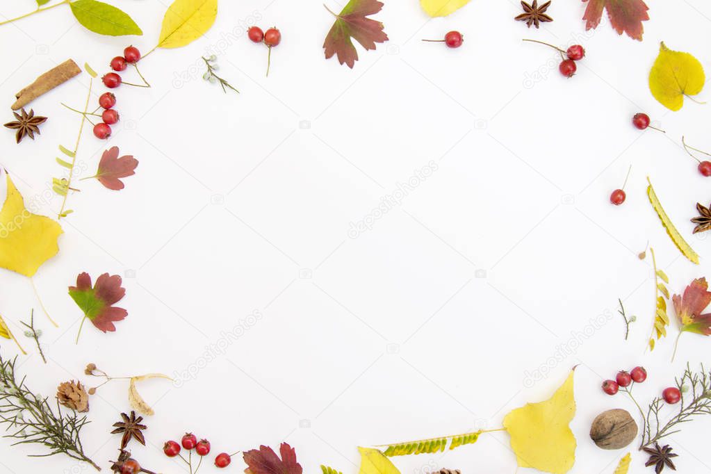 Autumn composition. Frame made of autumnal leaf on white background. Autumn, fall concept. Flat lay, top view, copy space