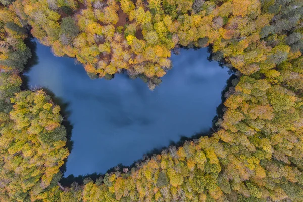 Luchtfoto Van Een Hartvormige Lake Omringd Met Herfst Gekleurde Forest Stockafbeelding