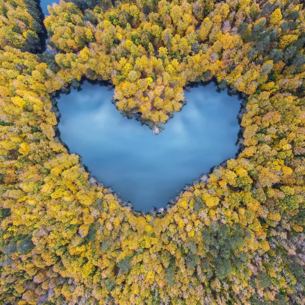Hartvormige Lake Luchtfoto Drone Met Bos Herfstkleuren Stockfoto
