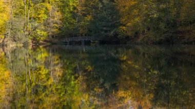 Orman ve Clear Lake büyük renkler ile güzel sonbahar 4k video Time Lapse