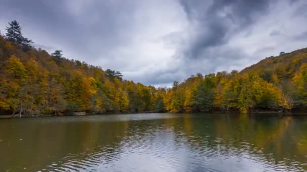 Belle Automne Vidéo Time Lapse Avec Grandes Couleurs Forêt Lac — Video