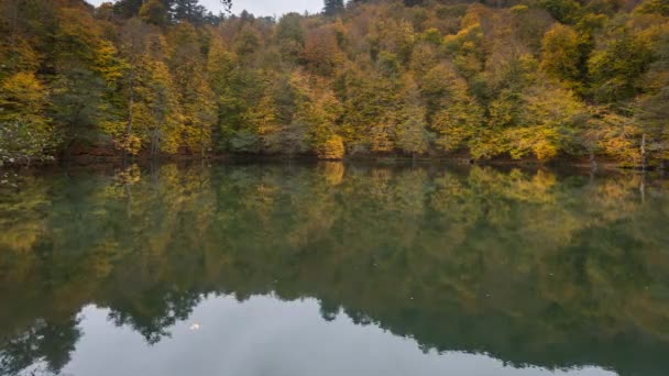 Härlig Höst Video Time Lapse Med Stora Färger Skogen Och — Stockvideo