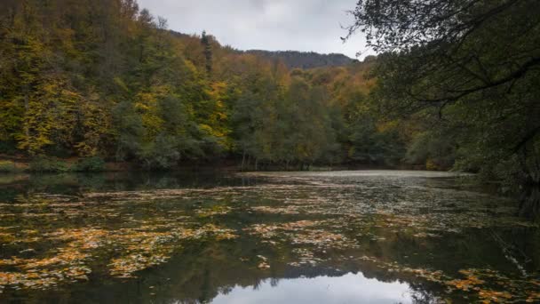 Belle Automne 4K Vidéo Time lapse avec de grandes couleurs de la forêt et un lac clair 