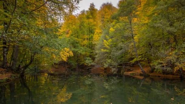 可爱的秋天4K 视频时间流逝与森林和清澈的湖的伟大的颜色 — 图库视频影像