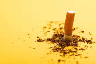 31 Mayıs Dünya Tütün Yok Günü, sigara yok, kırık yığının kapatılması sigara veya tütün sarı arka planda fotokopi alanı ve uyarı akciğer sağlığı konsepti