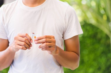 31 Mayıs Dünya Sigara Yok Günü, Asyalı sigara içen adam yeşil yapraklı arka planda sigara kırma, sigara içme veya bırakma kavramını kullanıyor.