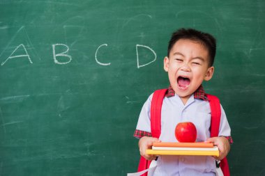 Okula geri dön. Anaokulundan, okul çantasıyla elinde kırmızı elmayla yeşil okul tahtasına gülümseyen, okul eğitimine ilk kez katılan mutlu Asyalı komik, sevimli çocuk.