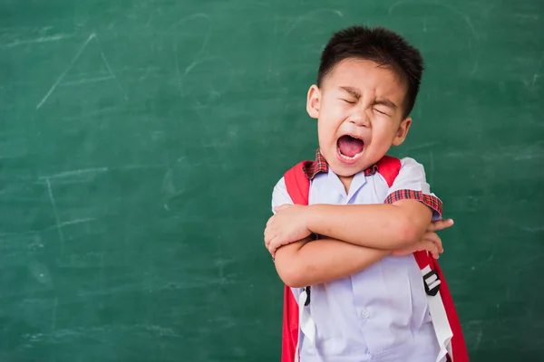 Volta Escola Feliz Asiático Engraçado Bonito Criança Menino Jardim Infância — Fotografia de Stock