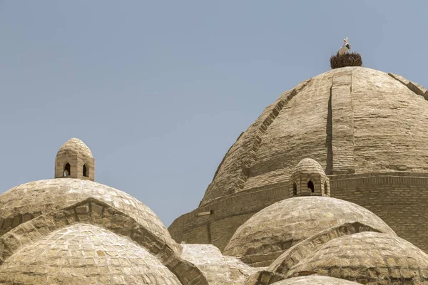 TOKİ şehri, antik ticaret Buhara - Özbekistan kubbeleri. Orta Asya