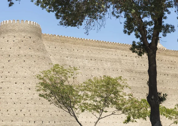 Walls of The Ark, 5th Century Fortress in Bukhara, Uzbekistan