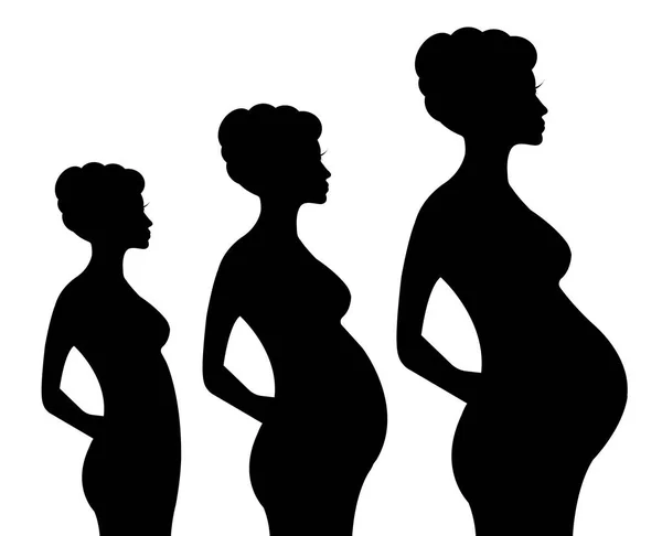 Mujer Embarazada Silueta Vector Ilustración Aislada Sobre Fondo Blanco Trimestres — Vector de stock