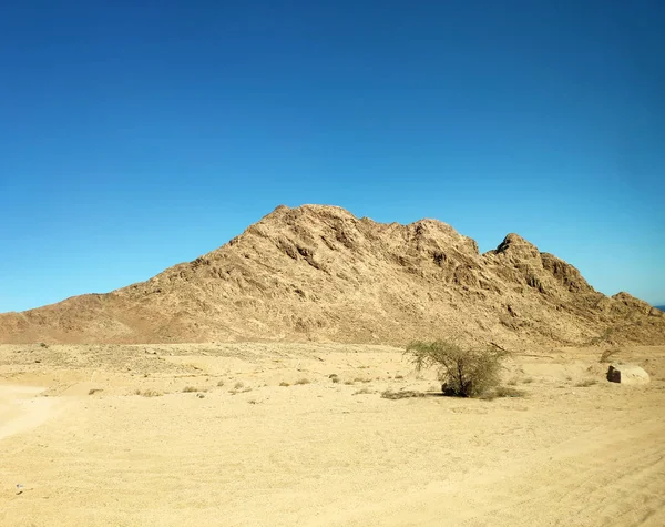 Wüstenland mit Bergen und Meer — Stockfoto