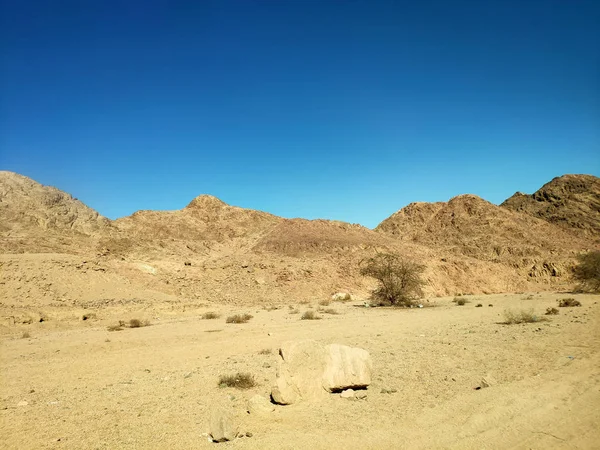 Wüstenland mit Bergen und Meer — Stockfoto