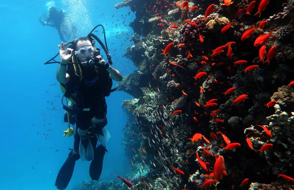 Diving in the Red Sea in Egypt, tropical reef