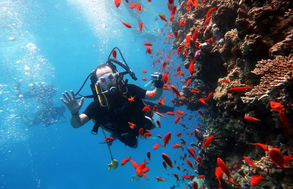 Immersioni nel Mar Rosso in Egitto, barriera corallina tropicale — Foto Stock