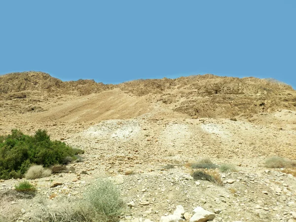 Пустельний пейзаж негеу з горбами і горами — стокове фото
