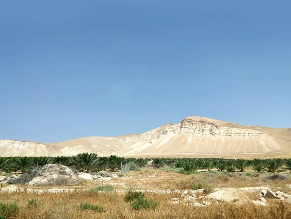 Пустельний пейзаж зі скелями, пагорбами та горами — стокове фото