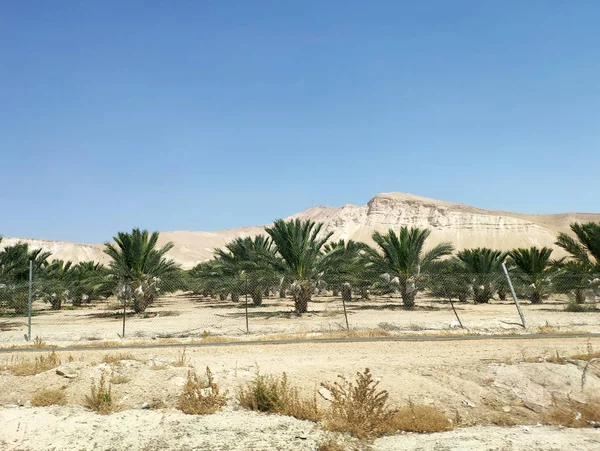 Woestijn land landschap met rotsen, heuvels en bergen — Stockfoto