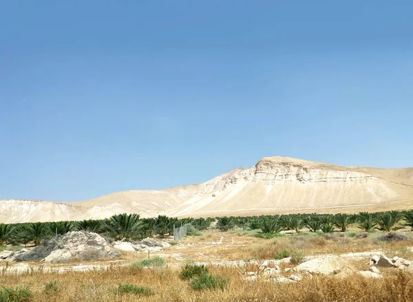 Desert landscape with rocks, hills and mountains