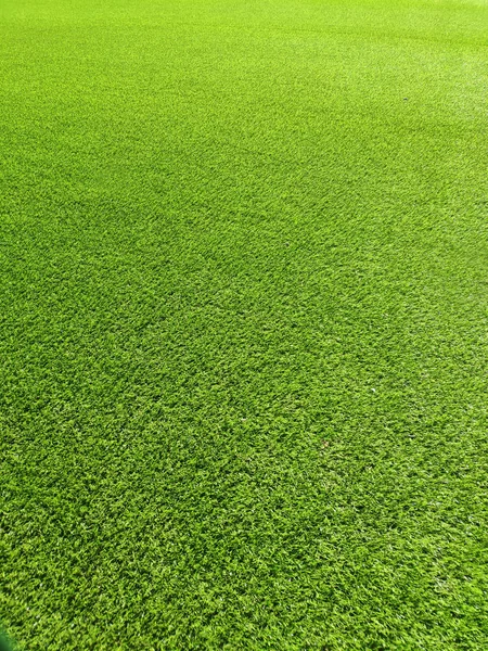 Grönt gräs fält mönster — Stockfoto