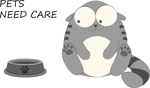 Überrascht Katzenfigur Anzeigen Vorlage Vektor Illustration Kitty Cartoon Haustiere Brauchen — Stockvektor
