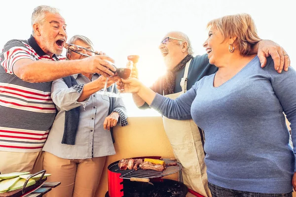 Fröhliche Seniorenfreunde Beim Grillen Freien Mit Rotwein Bejubeln Ältere Menschen — Stockfoto