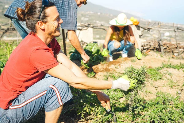 Equipo Amigos Trabajando Juntos Una Casa Campo Hombre Feliz Cosechando —  Fotos de Stock