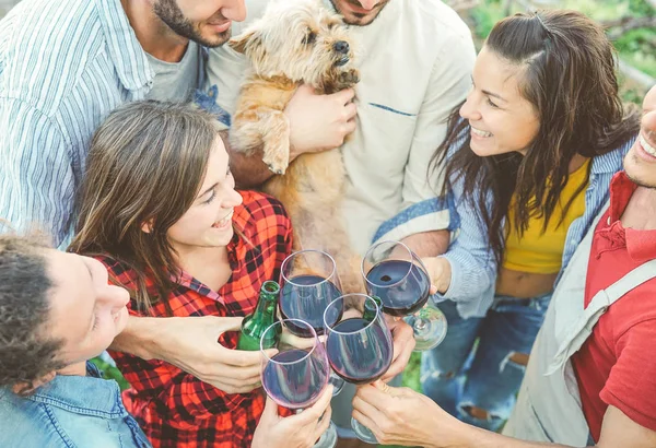 幸せな友人赤ワイン屋外 若い人々 を飲んで 家の畑で一緒に笑って楽しんで友情と青春ライフ スタイル コンセプトのメガネと応援 — ストック写真