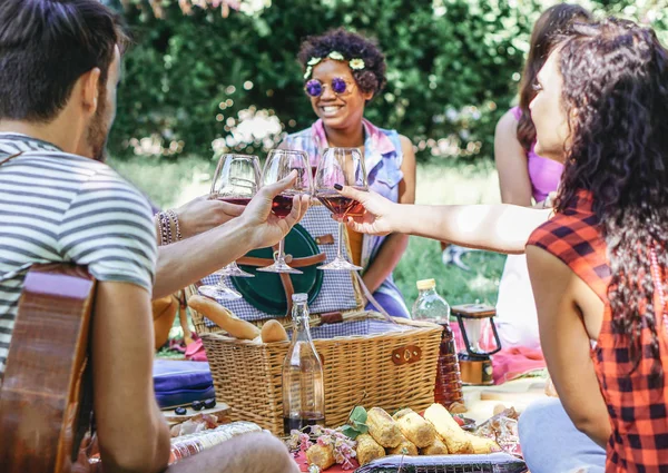 Grupo Amigos Felices Animando Copas Vino Tinto Barbacoa Pic Nic — Foto de Stock