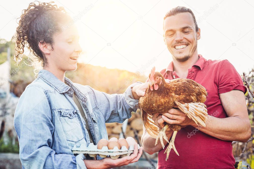 Happy couple of agricultrist picking up fresh eggs in henhouse farm at sunset - Young farmers working in the factory house - Concept of people grower breeding production, vegeterian and agriculture