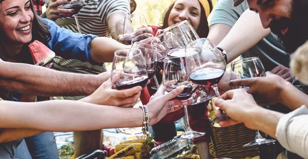 Groupe d'amis applaudir et griller avec des verres à vin rouge à la fête de pique-nique - Heureux les jeunes gens qui s'amusent à boire et à manger ensemble dans le jardin - Concept d'amitié, de nourriture et de boisson — Photo