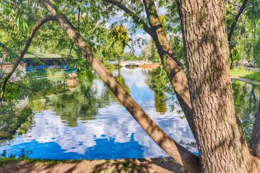 Idillic Gölü içinde Gorki Park Merkezi Moskova, Rusya