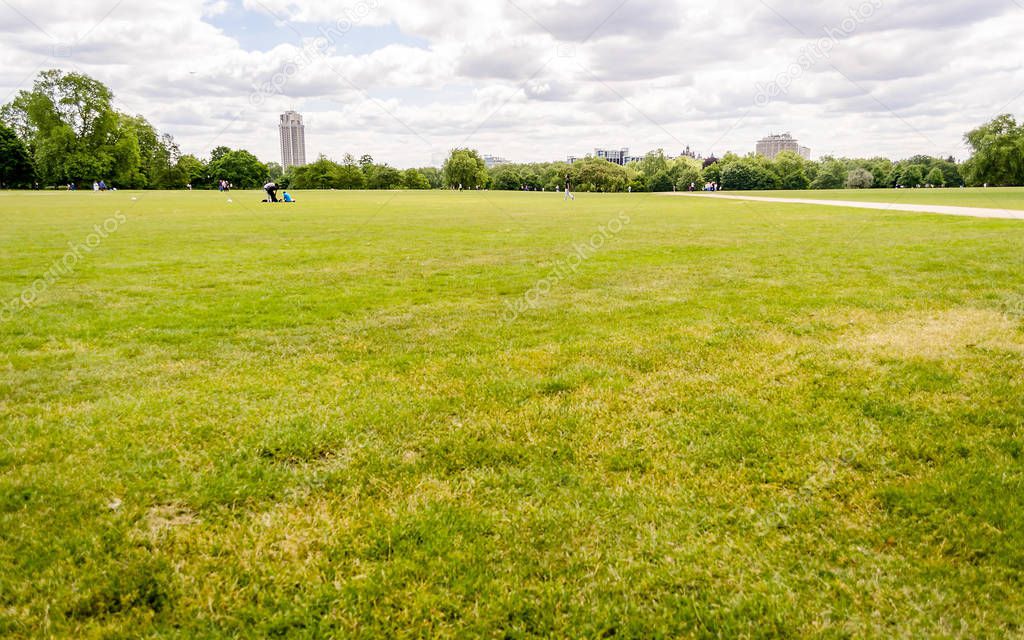 Large lawn in Hyde Park, London, UK