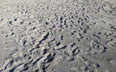 Birçok ayak izlerini her yerde kumlu bir plaj üzerinde gidiş