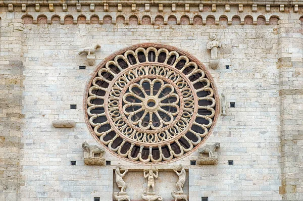 Rozeta Fasádě Středověké Katedrály Assisi Itálie Kostel Zasvěcen San Rufino — Stock fotografie