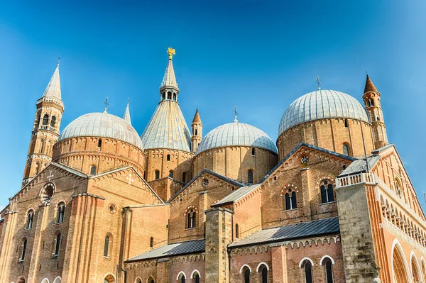 Domes Basilica Saint Anthony Iconic Landmark Sightseeing Padua Italy — Stock Photo, Image