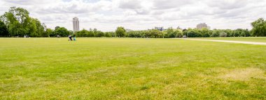 Hyde Park, Londra, İngiltere 'de büyük bir çim.