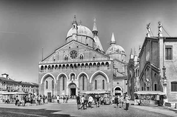 Padua Italië April Gevel Van Basiliek Van Anthony Iconische Mijlpaal — Stockfoto